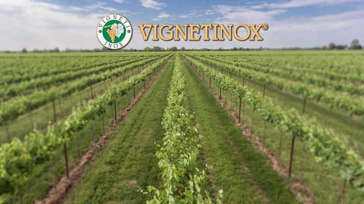 Vignetinox Photo 2