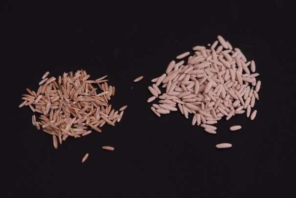 Satec Equipment GmbH Photo 4