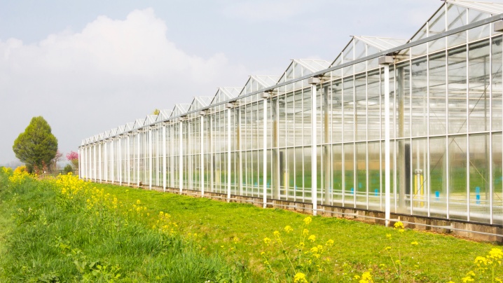 J. Huete Greenhouses Photo 1
