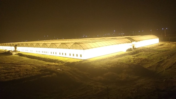 J. Huete Greenhouses Photo 2