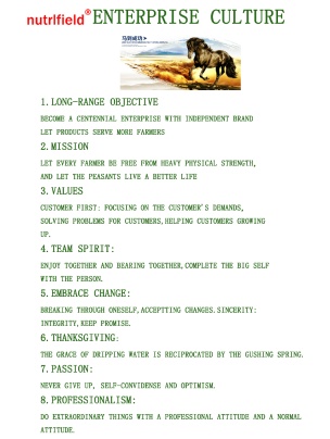 foj_Company_Tab_whoAreWe_title