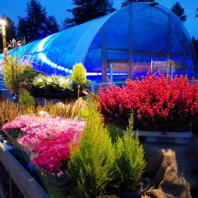 Ecoslider Greenhouses and PremiFarm Aeroponic Vert Photo 3