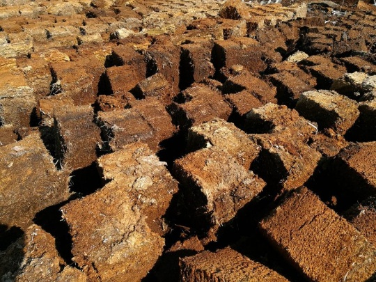 Global Peat Photo 1
