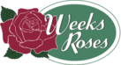 Weeks Roses