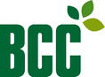 BCC AB - logo