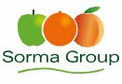 Sorma S.p.A. - logo
