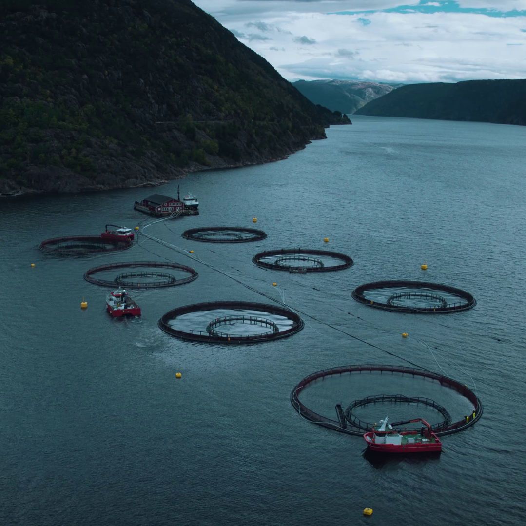 Сеть для аквакультуры анти-хищник - Tubenet™ - AKVA group - для ...