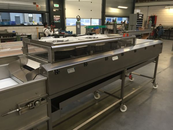 Моечная станция для помидоров - Koppert Machines - автоматическая