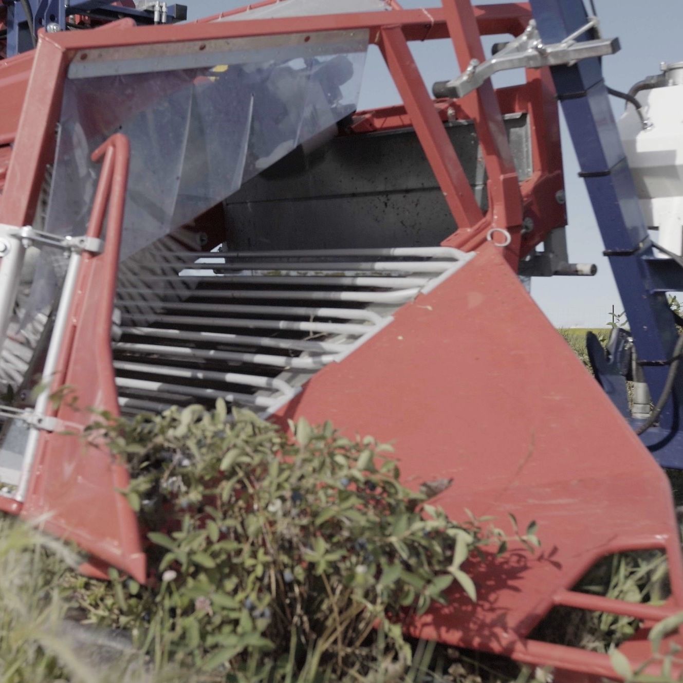 Уборочная машина для ягод - HASKAP JAREK 5H - JAGODA JPS Agromachines ...