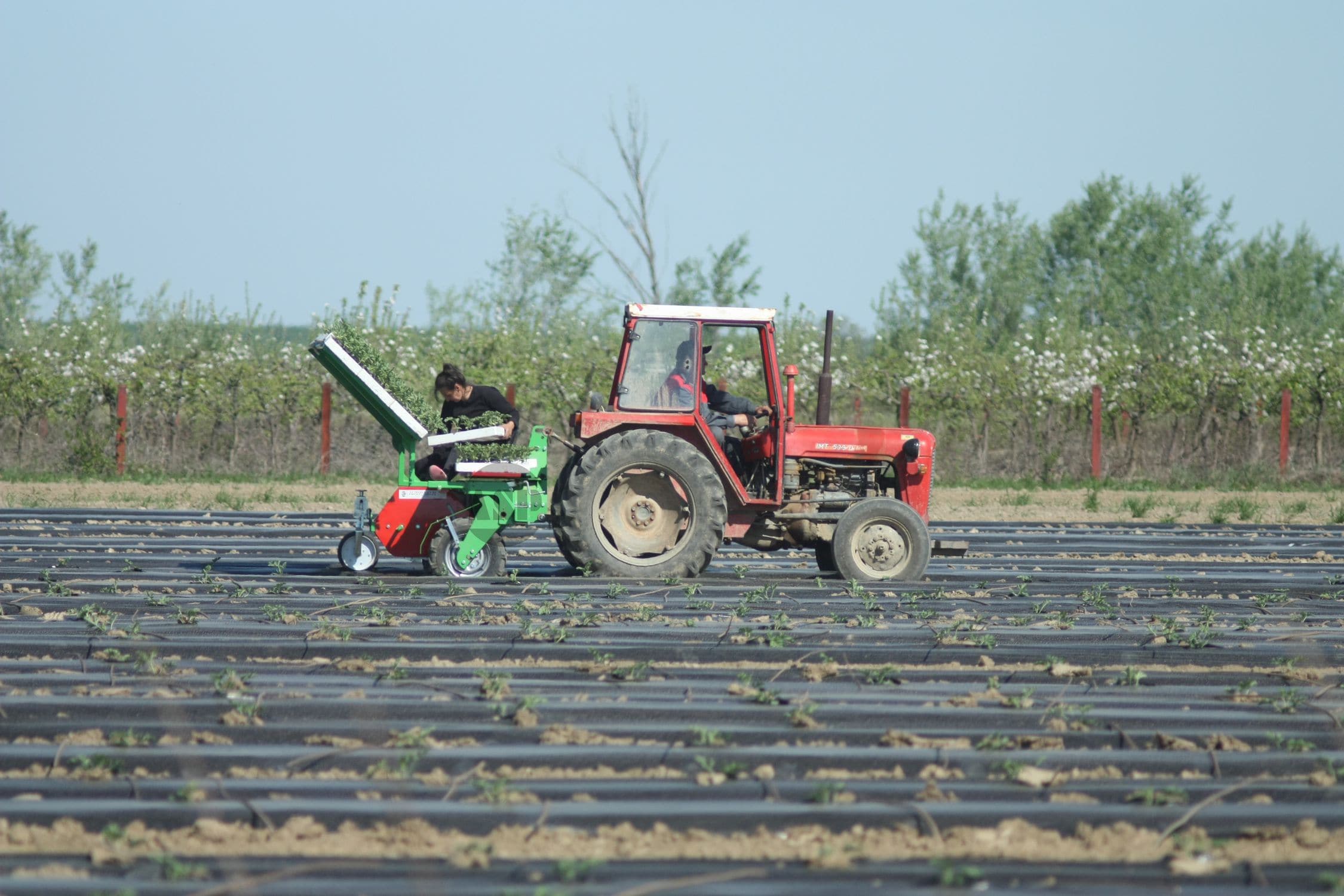 Посадочная машина для овощей - MultiPlant - Agroservis - proizvodnja d.o.o.  - с ручным управлением / 2 ряда / 4 ряда