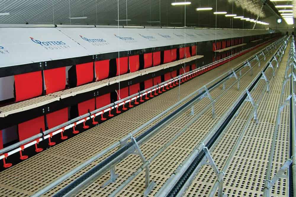 Решетчатый настил из пластика - POTTERS POULTRY LTD - из стали / для ...