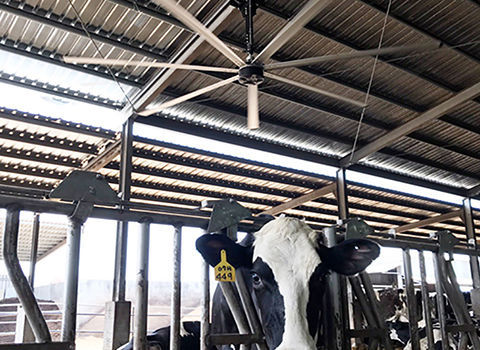 Вентилятор для теплицы - HVLS S10 - Sunon - для сельскохозяйственных ...