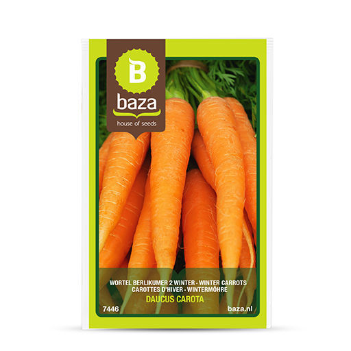 Раннее семена моркови - 7446 - BAZA Seeds Holland b.v. - зимнее