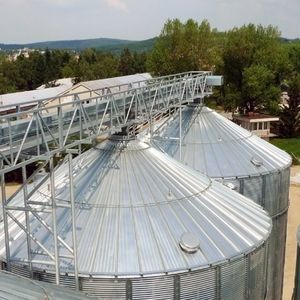 конвейер для злаковых 1