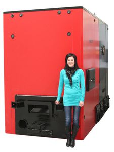 котел на биомассе