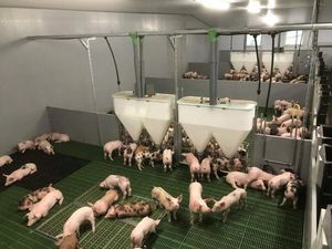 решетчатый настил из пластика