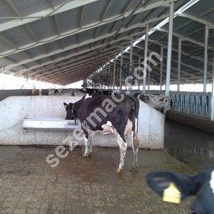 водопойный желоб для крупного рогатого скота 1