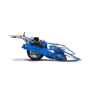 176010-18968522.webp