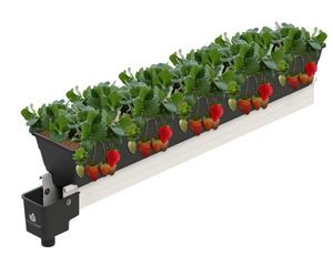 горшок из пластика