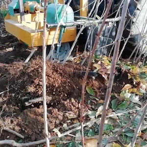 корчевальный плуг для растений в питомнике 1