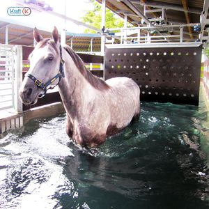 водная водилка для лошадей