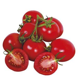 красный семена томатов 1