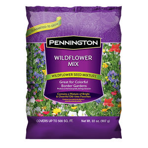 годовой семена цветов 1