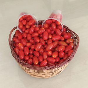 красное семена томатов черри