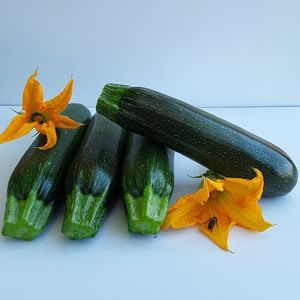 осеннее семена тыквы