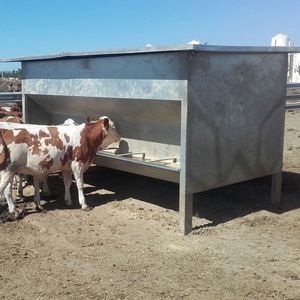 загрузочная воронка для крупного рогатого скота 1