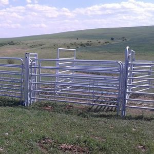 станок для фиксации КРС для крупного рогатого скота 1