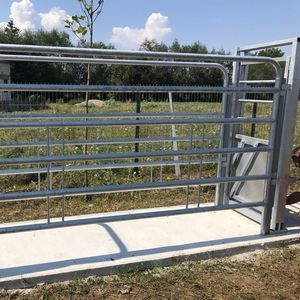 станок для фиксации КРС для крупного рогатого скота 1