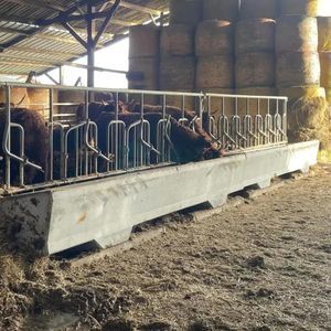 корыто для крупного рогатого скота 1