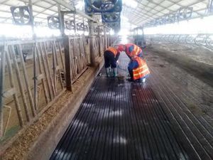 коврик из каучука