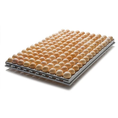 Лоток для инкубатора для куриных яиц - SmartTray™ - Pas Reform Hatchery Technologies - из пластика