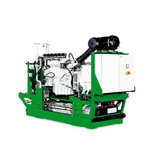 Электрогенератор на биогазе - filius series - 2G Energy AG - компактный / для когенерации / сельскохозяйственный