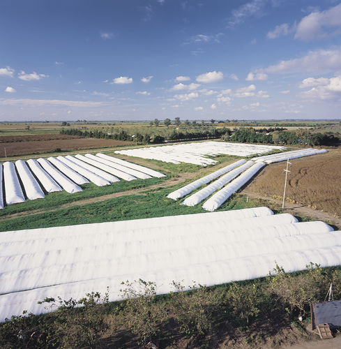 Мешок для силоса для зерен - Silo bag - CPS Agri Limited – CROP PROTECTION SOLUTIONS.