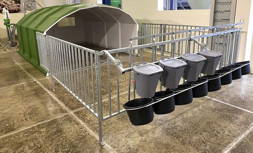 Будка для домашнего скота - AGRIBOX 12 - AGRITECH S.R.L. - для телят / коллективная / из стали
