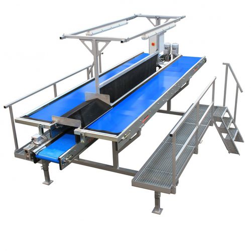 Сортировщик для овощей - IB 500-50+ - Allround Vegetable Processing B.V. - для визуального контроля
