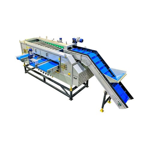 Калибратор с роликами - R 80 - Allround Vegetable Processing B.V.