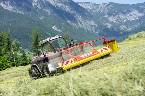 Ленточный валкообразователь - MERGENTO F ALPIN - PÖTTINGER Landtechnik GmbH - с центральной выгрузкой