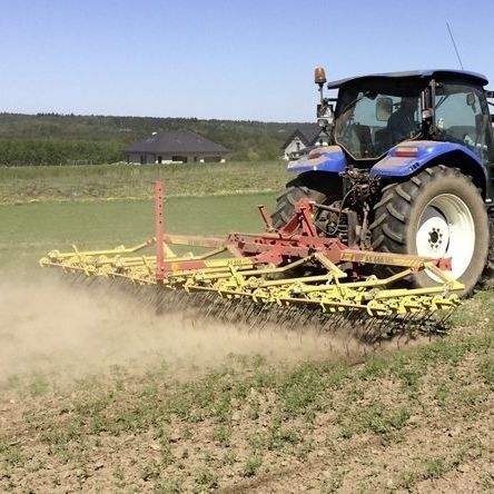 Борона краб - AS 600 M1 - APV - Technische Produkte GmbH - зубчатая / складная