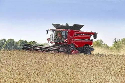 Гибкая головка для сбора урожая - 3020 - CASE IH - для зерен / для фасоли / с гидравлическим регулятором