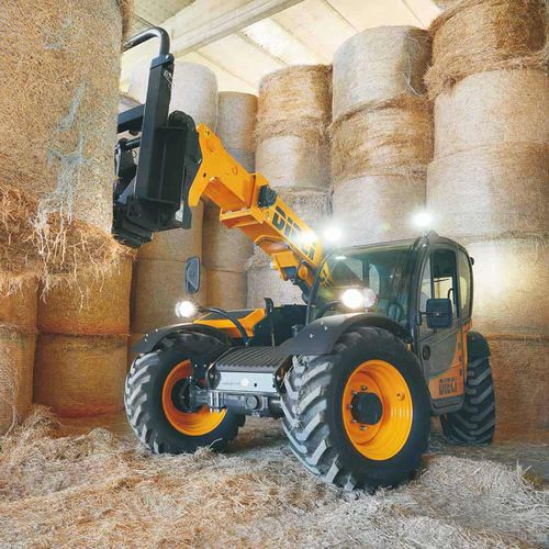 Сельскохозяйственный телескопический погрузчик - AGRI FARMER 28.7 - DIECI S.r.l. - подъемник