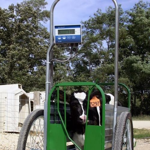 Весы для коров - Caf Cart® - Digi-Star International - цифровой / мобильный / с сепаратором
