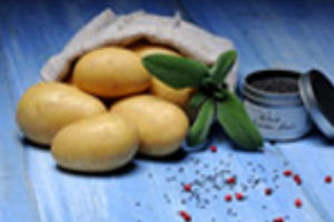 Полуранний семена картофеля - Annalena - EUROPLANT Pflanzenzucht GmbH - для потребления / длинный / устойчивый к синхитрию внутриживущему