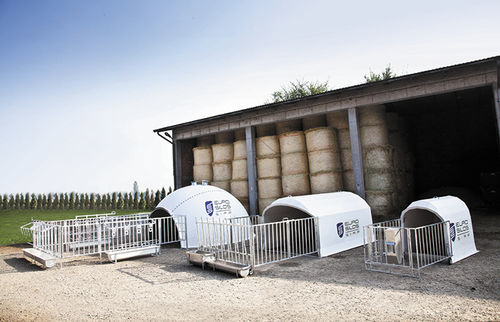 Будка для домашнего скота - Box&Igloo - EUROSILOS SIRP s.r.l. - для телят / для поросят / индивидуальная