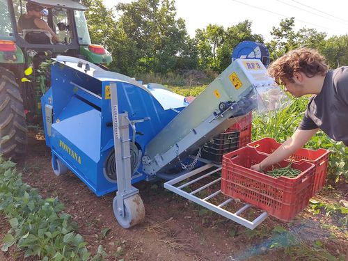 Уборочная машина для зеленой фасоли - RF3 - Fontana S.r.l. - attrezzature agricole - для острого перца / для установки на трактор / 1 ряд