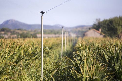 Жесткий трубопровод - AMS - IRRIFRANCE - для непрерывной подачи / оцинкованный горячим способом