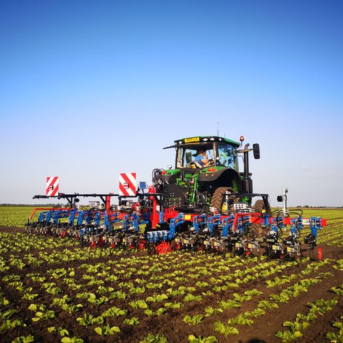 Пропашник для установки на трактор - K.U.L.T.iSelect  - K.U.L.T. Kress Umweltschonende Landtechnik GmbH - краб / с направляющей системой